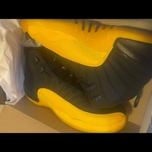 Air Jordan 12